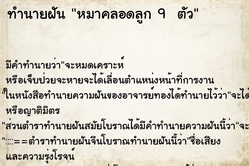 ทำนายฝัน หมาคลอดลูก 9  ตัว ตำราโบราณ แม่นที่สุดในโลก